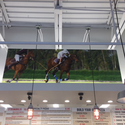 Vinyl Graphics